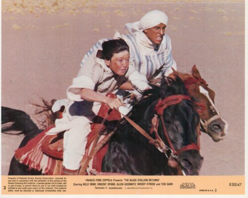 Two men ride fast on galloping horses across a sunlit desert, leaning forward in pursuit; a movie still from The Black Stallion Returns.