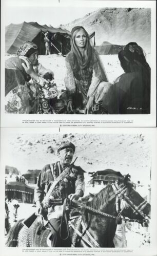 Black-and-white photo collage: top scene shows a woman in traditional dress sitting with two others in a desert camp with tents; bottom scene shows a bearded man in a turban on a decorated horse with a rifle, at a desert camp.
