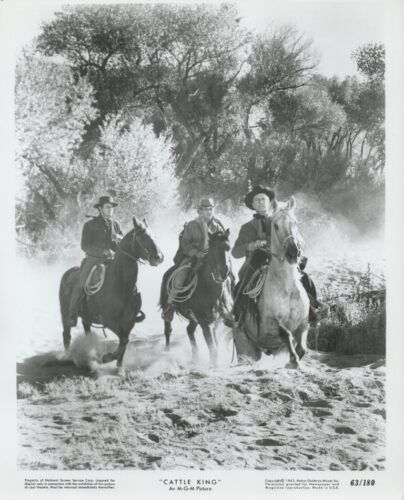 Three cowboys on horseback gallop through a dusty riverbank, dust clouds around their hooves, with trees behind them—still from the film 'Cattle King'.