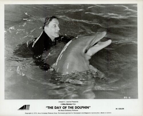 Black-and-white publicity photo of a man swimming in water with a dolphin, with the film title The Day of the Dolphin at the bottom.