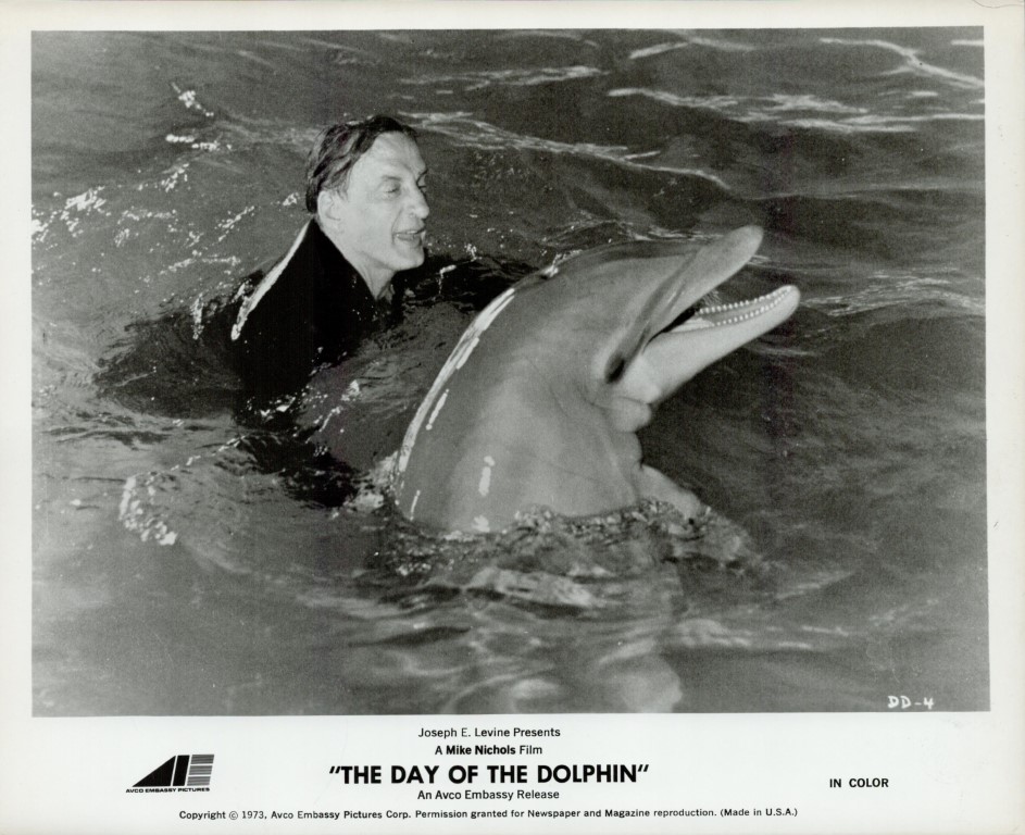 Black-and-white publicity photo of a man swimming in water with a dolphin, with the film title The Day of the Dolphin at the bottom.