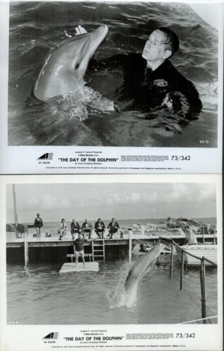 Man in the sea holds a dolphin close as waves crash around them, a dramatic water scene from a film press photo.