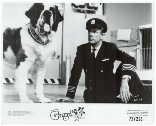 Large fluffy dog with tongue out sits beside a man in a naval captain’s uniform kneeling on the floor in a studio setting.