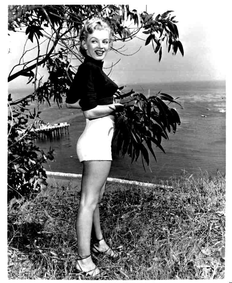 MARILYN MONROE, classic celebrity portraits, stills or photos