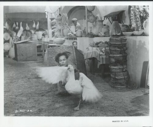 A person crouches behind a large white turkey with wings spread in a dirt market street, pottery and baskets on stalls in the background.