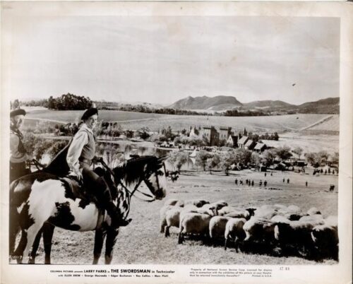Man on horseback guiding a flock of sheep across a rural valley with a village in the background.