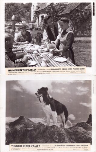 Outdoor rural meal scene: people sit around a checkered tablecloth as a woman pours from a pitcher; others watch.