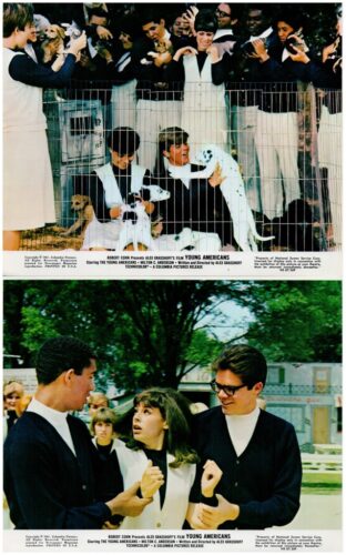 Two vintage film stills from Young Americans (1967). Top: a crowd presses against a wire fence, some people wearing black-and-white outfits and posing for the camera. Bottom: three young adults—two men and a woman—stand outdoors in 1960s attire, conversing animatedly as others look on.