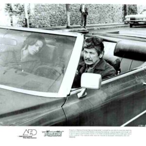 BORDERLINE, 1980, movie stills, Charles Bronson, Ed Harris