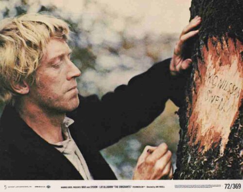Man with blond hair touches a tree trunk, looking at writing carved in the bark.