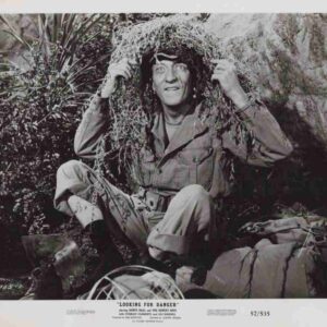 Soldier in field uniform sits among rocks and brush, adjusting camouflage netting on his helmet.