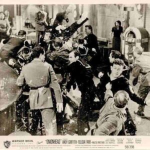ONIONHEAD, 1958, movie stills, Andy Griffith, Felicia Farr