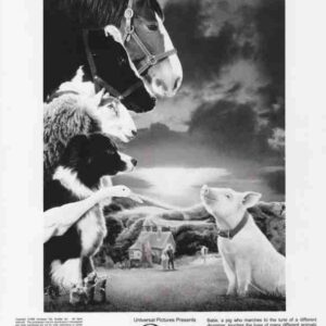 BABE, 1995, movie stills, animal comedy