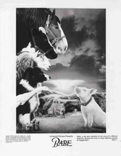 BABE, 1995, movie stills, animal comedy