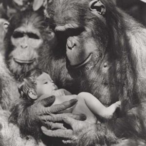 GREYSTOKE: THE LEGEND OF TARZAN, 1984, movie stills, DEALERS LOT