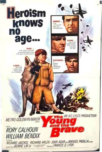 YOUNG AND THE BRAVE, 1963, movie poster, DEALERS LOT, Rory Calhoun